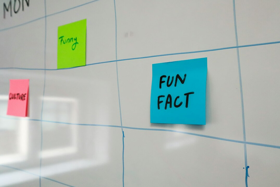 fact checking team