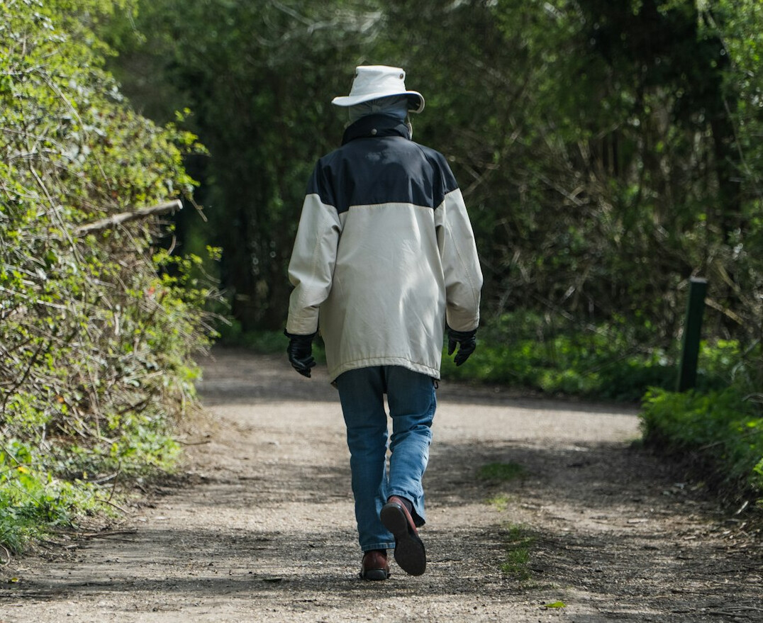 person walking on path